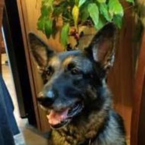 Meet your Posher, Christine